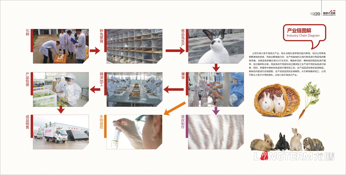 品山兔业形象画册设计|自贡市企业宣传册设计|鲜兔冷吃兔缺牙巴兔九刀兔休闲食物宣传画册设计